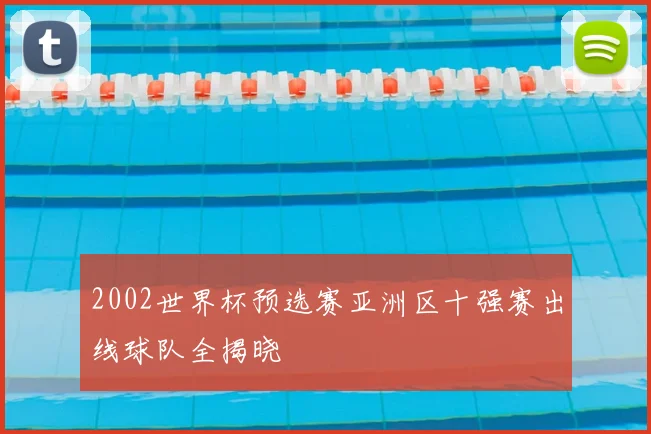 2002世界杯预选赛亚洲区十强赛出线球队全揭晓