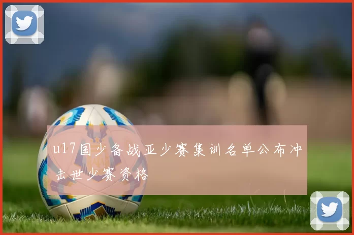 u17国少备战亚少赛集训名单公布冲击世少赛资格