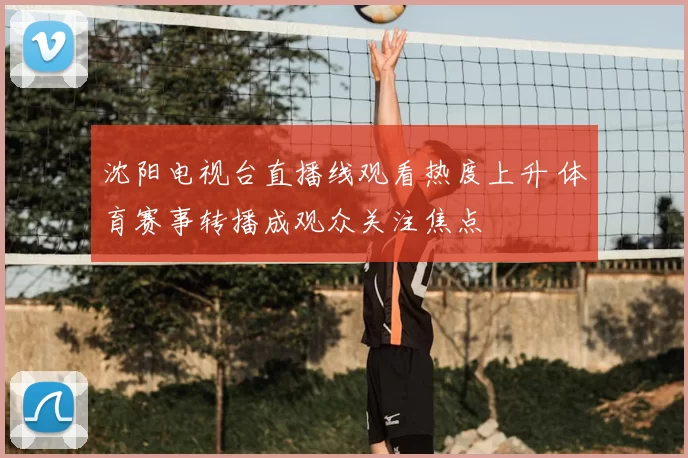 沈阳电视台直播线观看热度上升 体育赛事转播成观众关注焦点