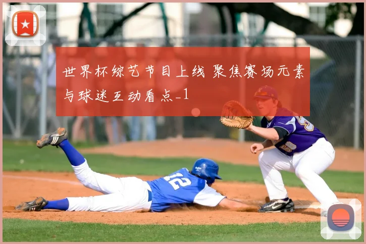 世界杯综艺节目上线 聚焦赛场元素与球迷互动看点_1