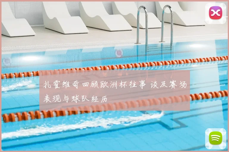 扎霍维奇回顾欧洲杯往事 谈及赛场表现与球队经历