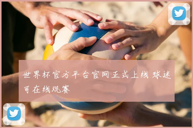 世界杯官方平台官网正式上线 球迷可在线观赛