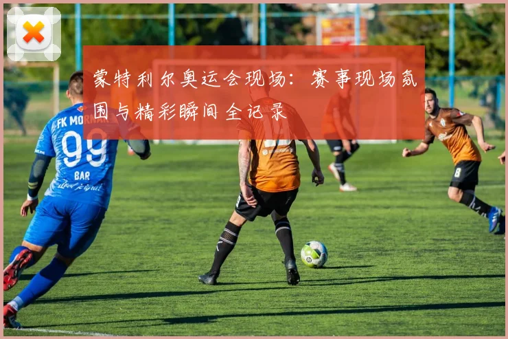 蒙特利尔奥运会现场：赛事现场氛围与精彩瞬间全记录