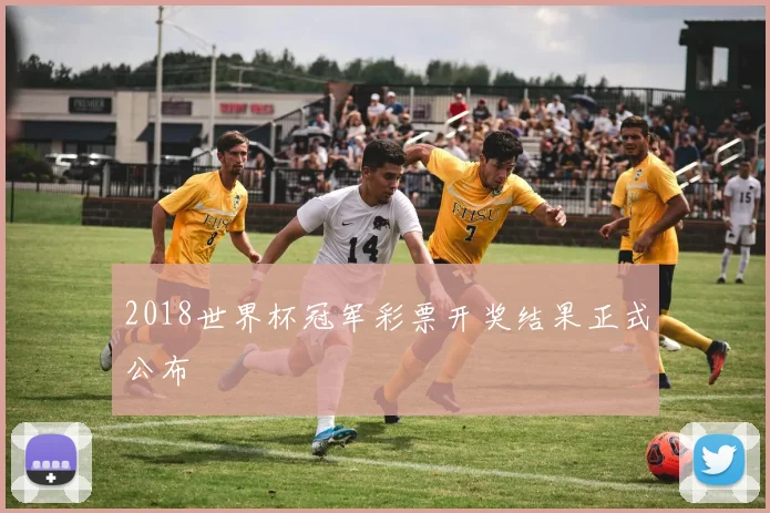 2018世界杯冠军彩票开奖结果正式公布